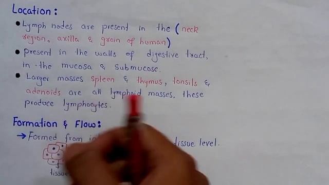 Lymphatic System | Lypmh | Class 11 Biology смотреть онлайн