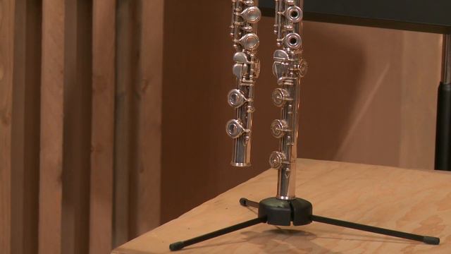 Picking Out Your Flute - Lesson 2 : Manufacturers And Models смотреть онлайн