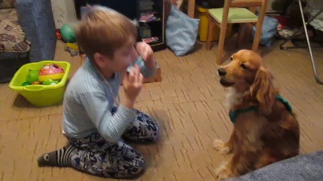 Вот как надо петь! смотреть онлайн