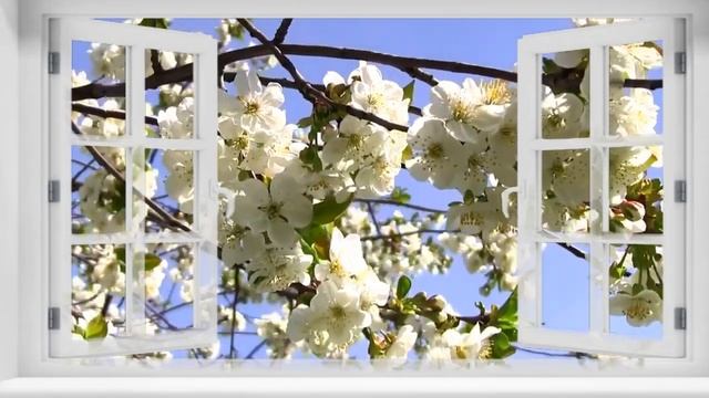 Ярослав Сумишевский "За окошком вишня" смотреть онлайн