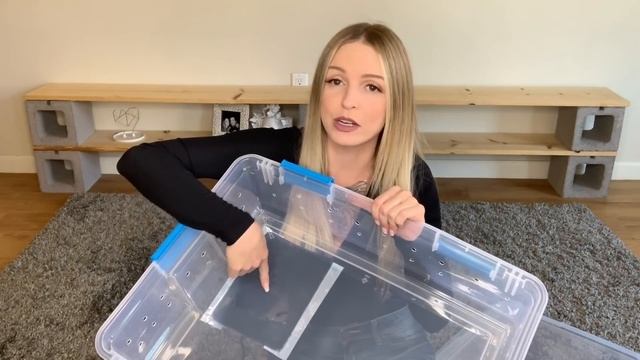 How To Set Up A Ball Python Tub! смотреть онлайн