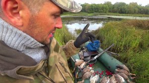 Открытие Охоты на Утку Осень 2023г.Это Была Славная Охота!!!