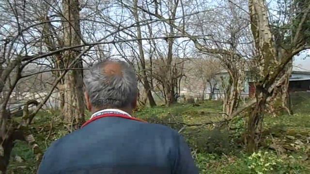 Описание старого захоронения в Агуй Шапсуге смотреть онлайн