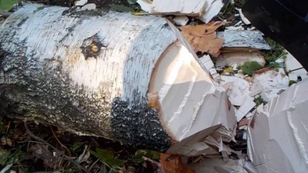 Тест топора kraftool