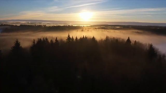 РАССЛАБЬСЯ. Миша Фреш смотреть онлайн