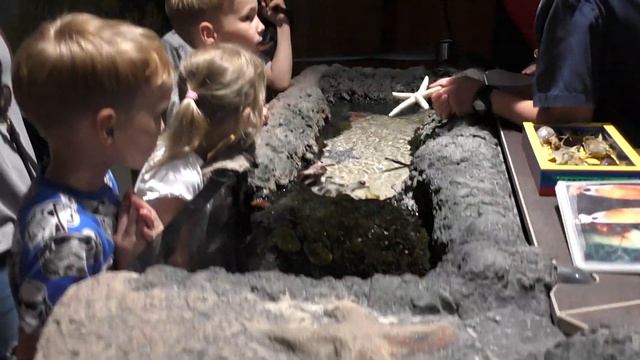 #LEGOLAND Germany #Леголенд Гюнцбург. 22/06/2019 смотреть онлайн