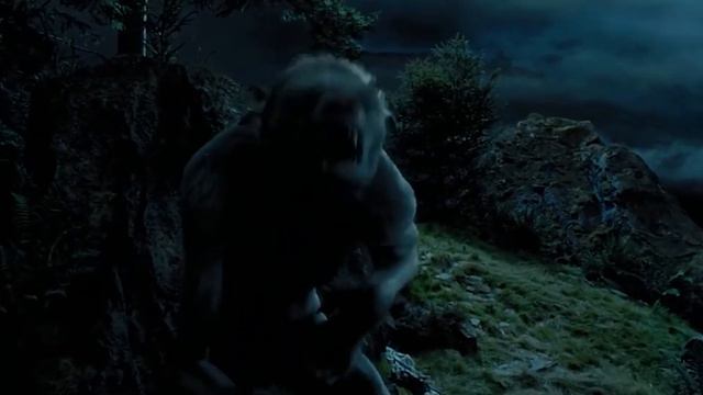 Werewolf Anatomy Explored - How Do Werewolves Procreate And Produce Offspring? And Many More!