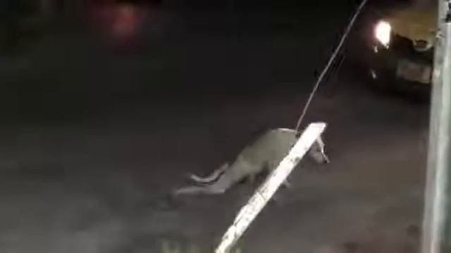 Я чуть не заплакал смотреть онлайн