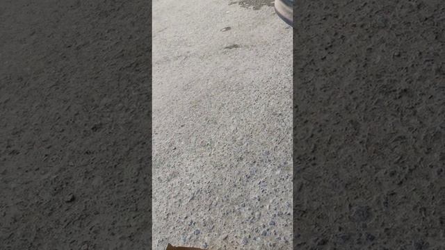 замена тормозной колодки на geely coolray, поставил колодки от фольксвагена поло смотреть онлайн