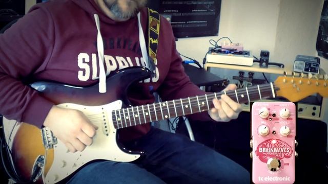 TC Electronic Brainwaves Demo