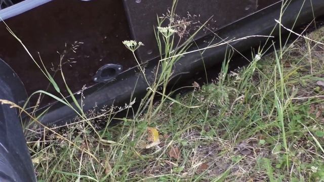 КУПИЛИ БЮДЖЕТНУЮ и ОЧЕНЬ ЛЁГКУЮ ЛОДКУ на 3 ЧЕЛОВЕКА! 380 НДНД! ОБЗОР ПОСЛЕ ПОЛОВИНЫ СЕЗОНА! смотреть онлайн