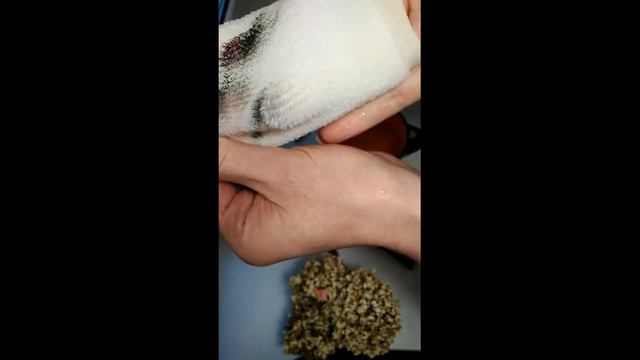 Спонж для демакияжа смотреть онлайн