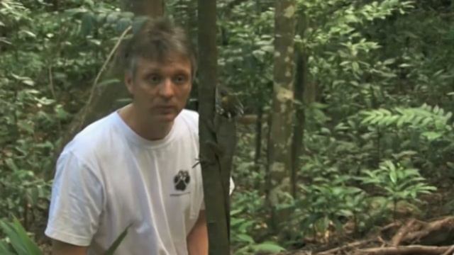 Зелёный питон и австралийский дракон. Домашние драконы/ADRIAN’S REPTILE WORLD (Дай лапу) смотреть онлайн