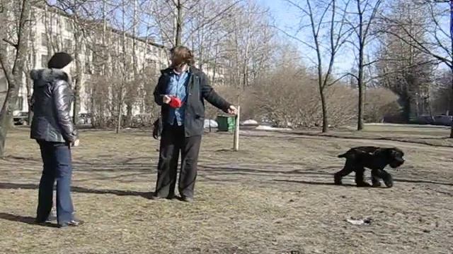 Фаня на прогулке - 2 смотреть онлайн