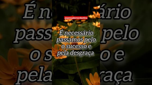 Cuidado com Pessoas que diz ser seu Amigo/FRASES DE CONFÚCIO смотреть онлайн