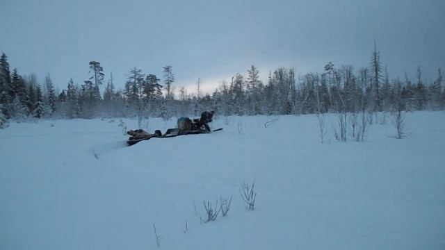 Мотобуксировщик Ахтар с лыжным модулем смотреть онлайн