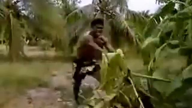 боец ломает пальму ногой смотреть онлайн