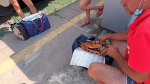 ЛАЗАРЕВСКОЕ 2021/ОТДЫХ НА МОРЕ/ПОЕЗД НИЖНИЙ НОВГОРОД-АДЛЕР/ЕДЕМ НА МОРЕ/ОБЗОР КУПЕ/ ЧАСТЬ 2