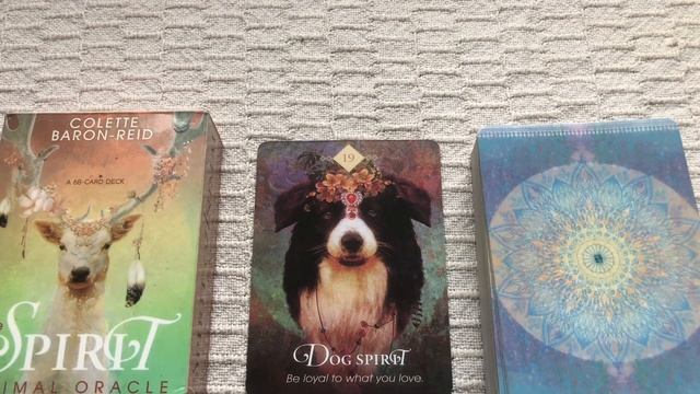 The Spirit Animal Oracle 19/68 Dog guide book audio description смотреть онлайн