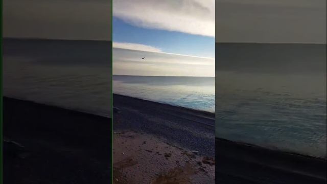 ЧЕРНОЕ МОРЕ смотреть онлайн