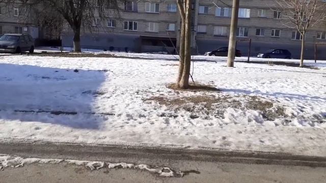 ВЛОГ -36 (ЯНВАРЬ) ❤ БЕЛАРУСЬ 2024 смотреть онлайн