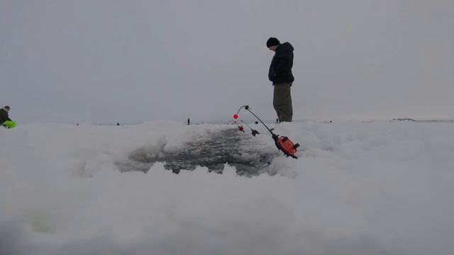 Ice Fishing. Зимняя рыбалка. Корюшка. Финский залив. Дамба Северная ветка