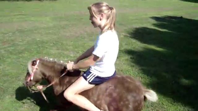 coco the mini horse 2 смотреть онлайн