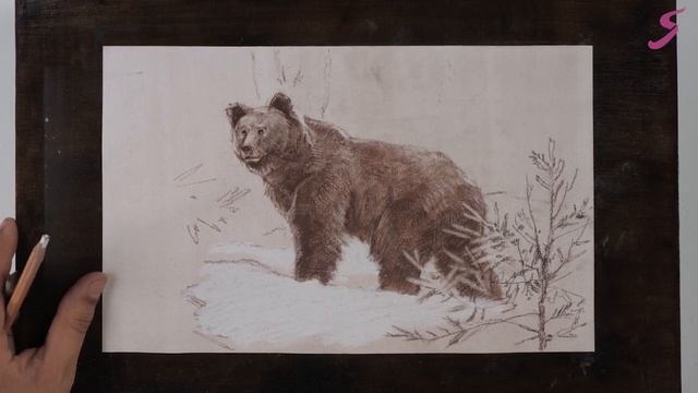 Рисунок. Графика. Анималистика. Медведь-3 смотреть онлайн