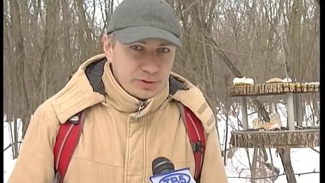 Запорожцы подкармливают пернатых жителей острова Хортиц смотреть онлайн