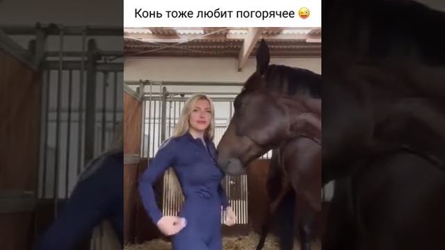 Дай посмотреть смотреть онлайн