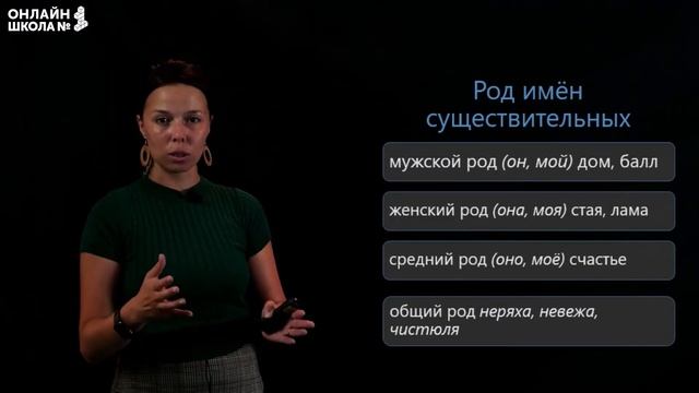 Морфологические признаки имени существительного. Видеоурок 14. Русский язык 6 класс смотреть онлайн