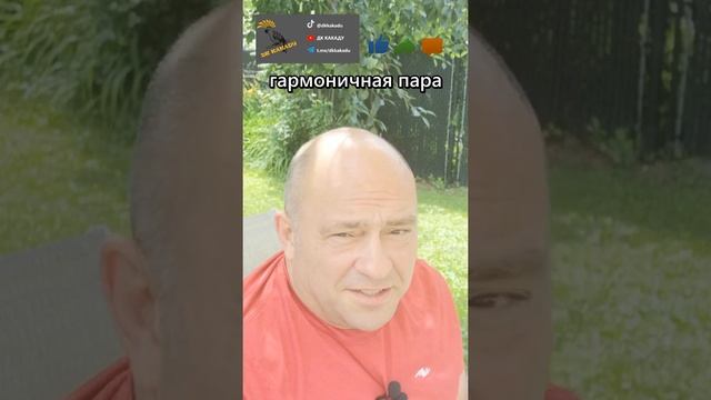 гармония в паре #дккакаду смотреть онлайн