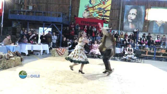 Campeones de San Nicolás | Campeonato Regional de Cueca Adulto Arica | Portezuelo 2019 смотреть онлайн