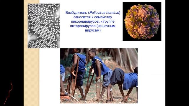 «Борьба с инфекциями в Институте экспериментальной медицины 1890–2021 гг.» смотреть онлайн