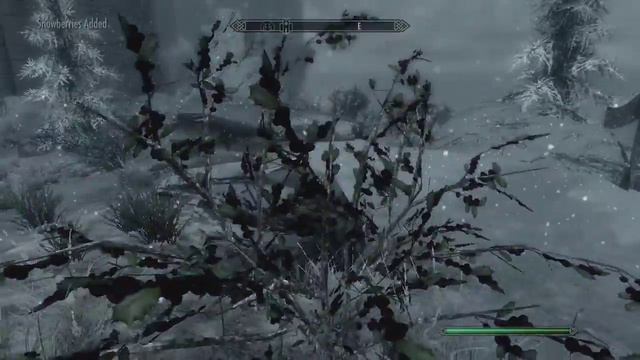 LET'S PLAY: SKYRIM LEGENDARY 14 - College of Winterhold FAIL смотреть онлайн