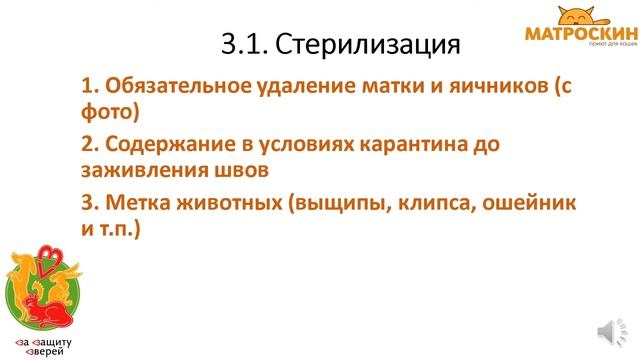 Приют для животных: Как на самом деле должен работать идеальный муниципальный приют? смотреть онлайн