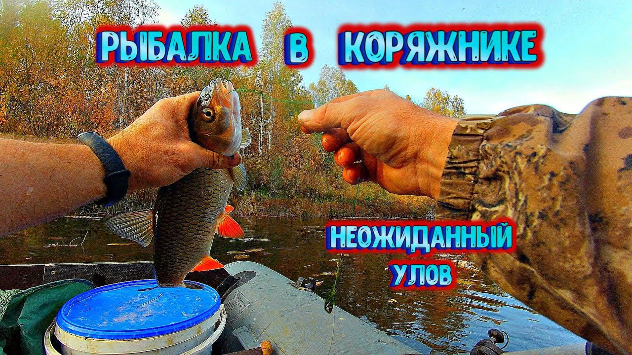 ✔ Рыбалка в коряжнике Неожиданный улов Ловля на живца река Керженец смотреть онлайн