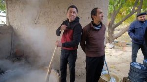 УЗБЕКСКАЯ СВАДЬБА в КИШЛАКЕ! Показывают Жениха за ДЕНЬГИ . Свадебная еда