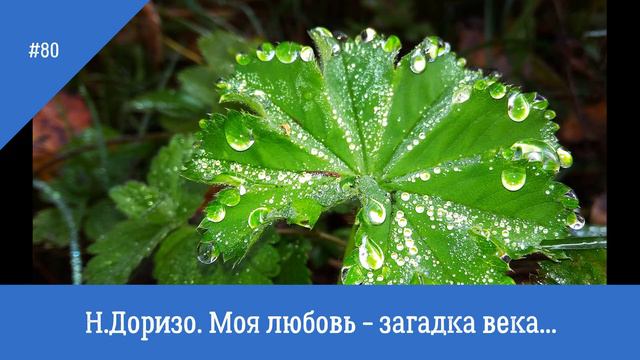 80 Н Доризо Моя любовь загадка века #стихиолюбви #поэты20века смотреть онлайн