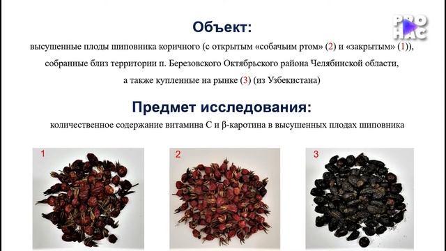 "Исследование высушенных плодов шиповника на содержание витамина С и бета-каротина", школа 68 смотреть онлайн