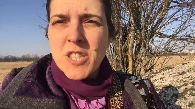 Сказка Лес Желаний смотреть онлайн