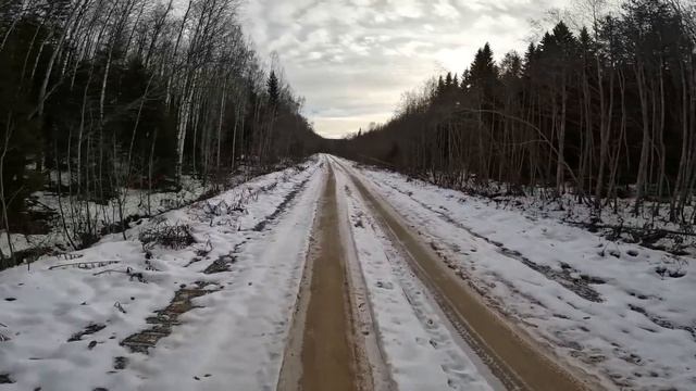 28. 10. 23. Охота на зайца с русской гончей. смотреть онлайн
