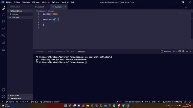 Apprendre le Golang Français 1 - Hello world смотреть онлайн
