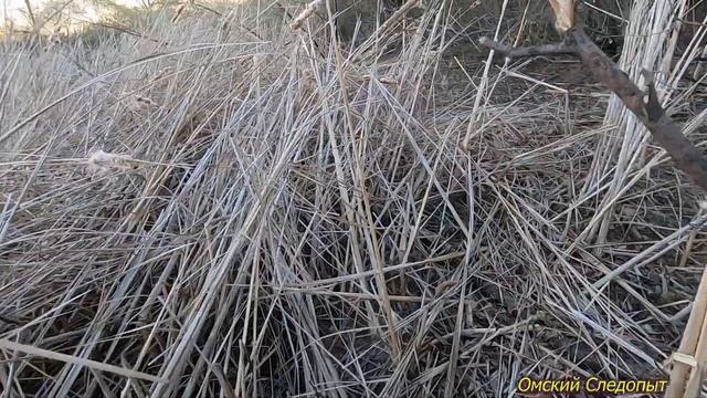 Охота с подсадной уткой. Пять селезней за два часа (МАЙ - 2021) смотреть онлайн