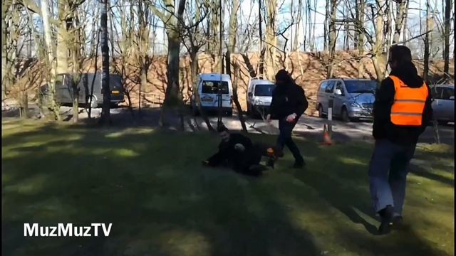 Django Vom Rottberg Rottweiler