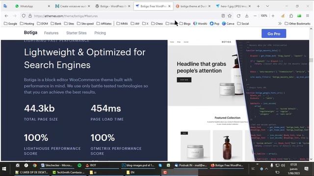 Kadence vs Botiga - Battle between highest rated themes (Wordpress) смотреть онлайн