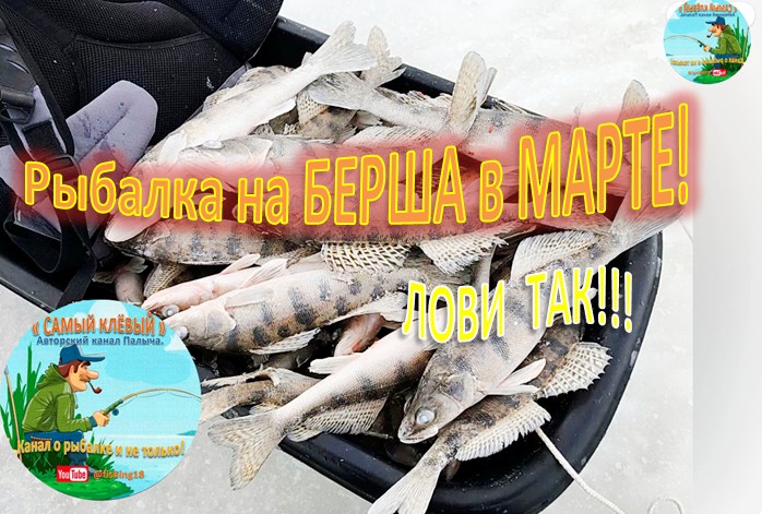 Рыбалка на БЕРША в МАРТЕ! смотреть онлайн