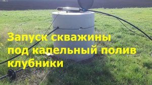 Запускаю скважину под капельный полив клубники / 07.05.2021