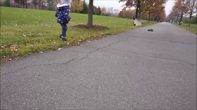 Багги Песчаная Акула FAST LANE XPS Sand Shark COOL BUGGY смотреть онлайн