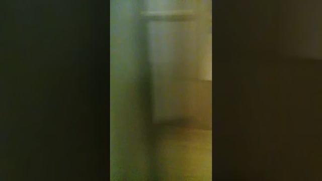 Показывают свой дом под ключ смотреть онлайн